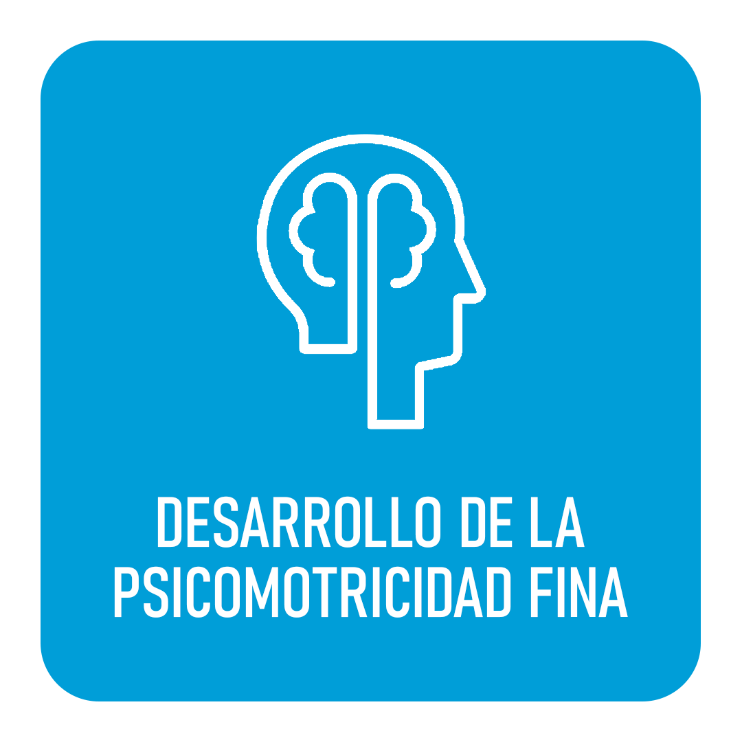 Psicomotricidad Fina